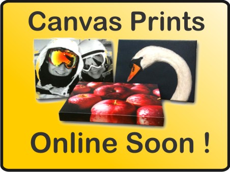 Coming Soon canvas Prints